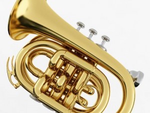 pocket trumpet Modelo 3D