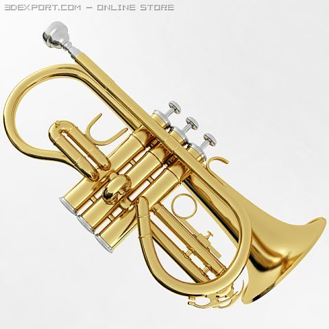 Soprano cornet online