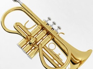 soprano cornet 3D Model