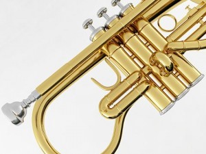 soprano cornet 3D Model