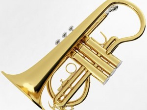 soprano cornet 3D Model