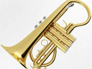 soprano cornet 3D Model