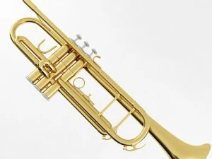brass musical instrument collection 3D Model