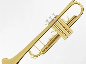 brass musical instrument collection 3D Model