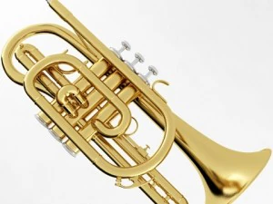 brass musical instrument collection 3D Model