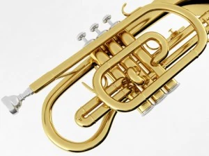brass musical instrument collection 3D Model