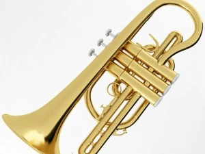 brass musical instrument collection 3D Model