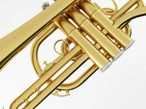 brass musical instrument collection 3D Model