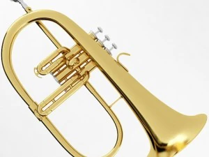 brass musical instrument collection 3D Model
