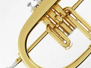 brass musical instrument collection 3D Model