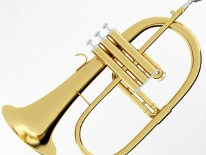 brass musical instrument collection 3D Model