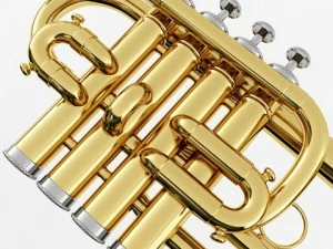 brass musical instrument collection 3D Model