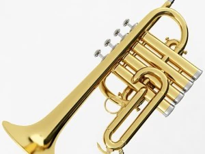 brass musical instrument collection 3D Model