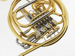 brass musical instrument collection 3D Model