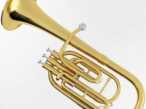 brass musical instrument collection Modelo 3D