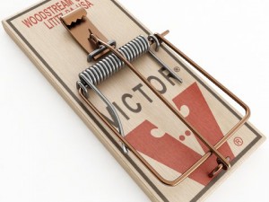 mouse trap 3D-Modell