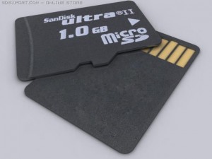 microsd Model 3D