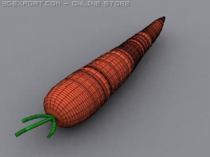 carrot Model 3D