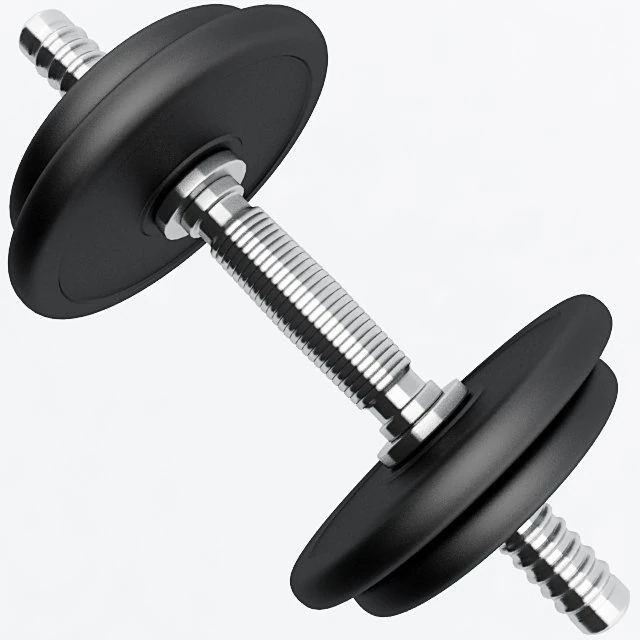 dumbbell 3D Model .c4d .max .obj .3ds .fbx .stl .blend 