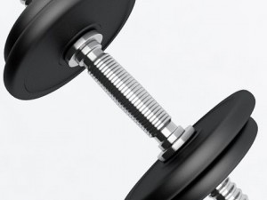 dumbbell 3D Model
