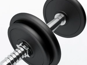 dumbbell 3D Model