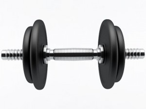 dumbbell Model 3D