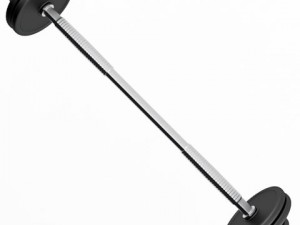 barbell Modèle 3D
