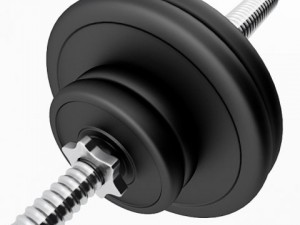 barbell Modello 3D
