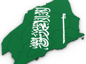 3d political map of saudi arabia Modelo 3D