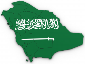 3d political map of saudi arabia Modelo 3D