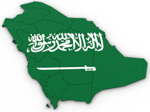 3d political map of saudi arabia 3D Model