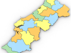 3d political map of portugal 3D Модель