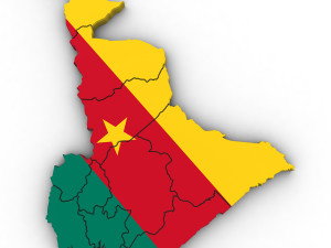3d political map of cameroon Modello 3D