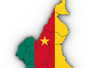 3d political map of cameroon Modelo 3D