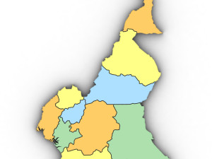 3d political map of cameroon Modelo 3D