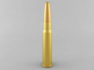 303 патрон 3D Модель