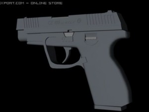 cz 100 3D Model