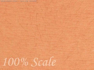 texturas de pele v1 5 mapas Texturas CG