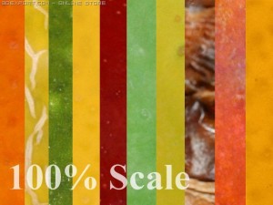 highres fruits textures CG Textures