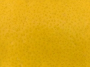 highres fruits textures CG Textures