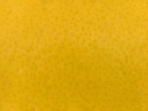 highres fruits textures CG Textures