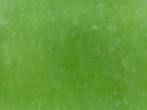highres fruits textures CG Textures