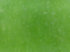 highres fruits textures CG Textures