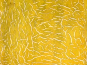 highres fruits textures CG Textures
