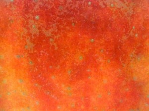 highres fruits textures CG Textures