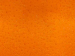 highres fruits textures CG Textures