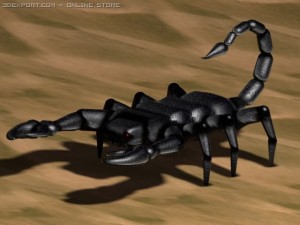 szhrpphs 3D Модель