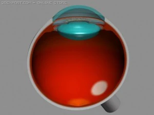 olho humano Modelo 3D