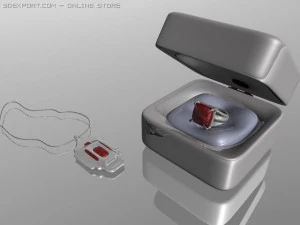 reng 3D Model