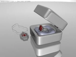 reng 3D Model